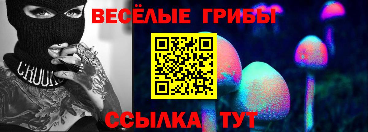 где купить   Галлюциногенные грибы GOLDEN TEACHER  Вход с VPN  Псилоцибиновые грибы ЛСД  Костомукша 